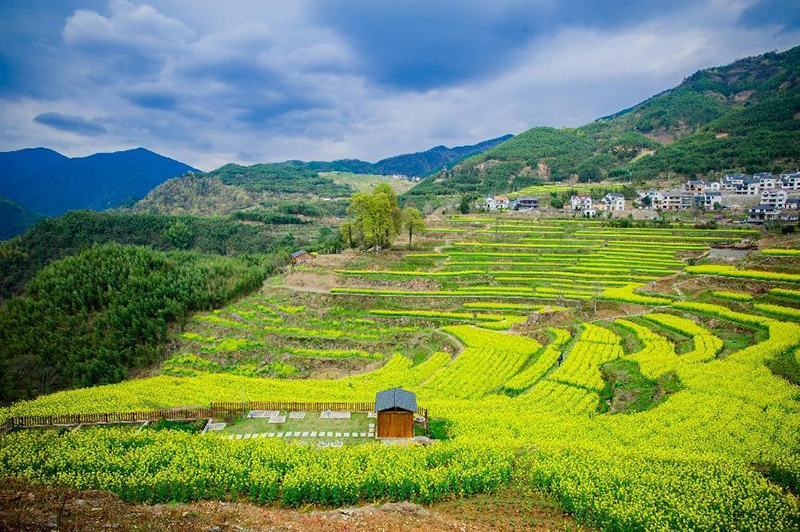 林業(yè)碳匯項(xiàng)目市場潛在價值為2802億~4691億元