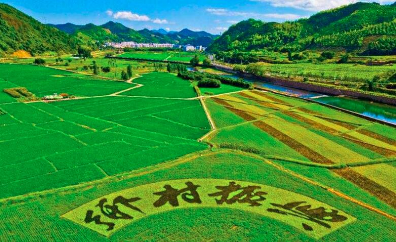 鄉(xiāng)村振興規(guī)劃實施進展如何？這場發(fā)布會劃重點：系統(tǒng)治理優(yōu)生態(tài)