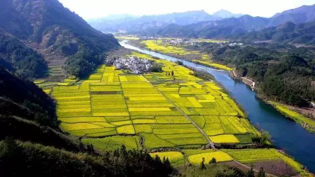 中央經濟工作會議要求，在落實碳達峰碳中和目標任務過程中鍛造新的產業(yè)競爭優(yōu)勢