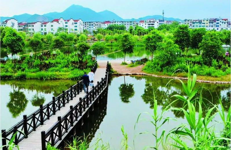《中國環(huán)境報》頭版頭條：浙江構(gòu)建降碳、減污、擴綠、增長整體智治體系