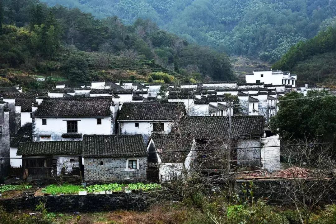七部門明確！在農(nóng)村人居環(huán)境整治提升中統(tǒng)籌考慮減污降碳要求