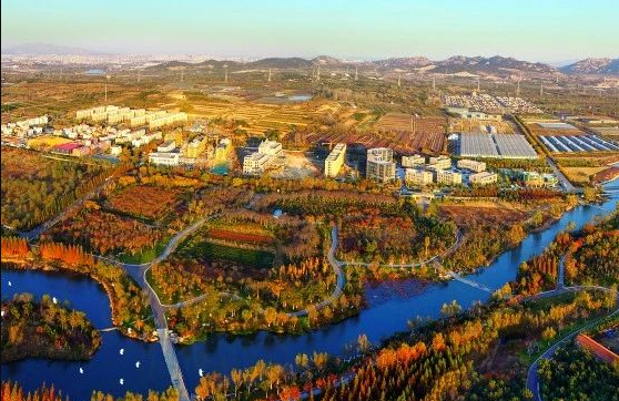 什么是農村生活污水全域治理的“青島速度”？