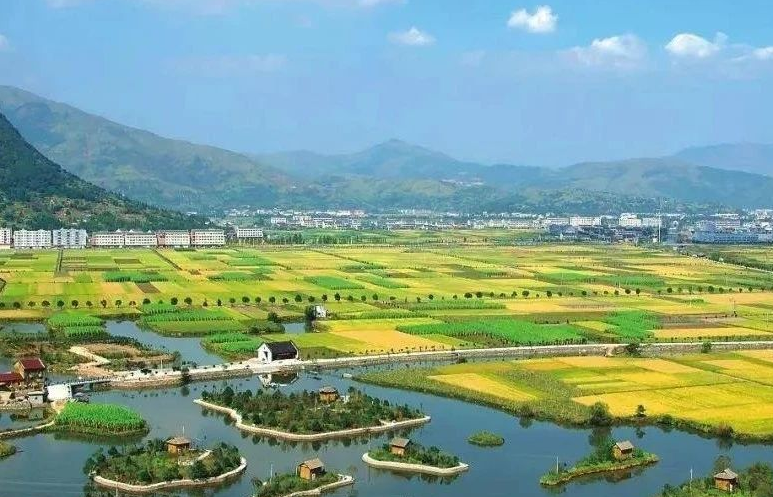 鄉(xiāng)村振興工作滯后，約談！江西省委、省政府發(fā)布《江西省鄉(xiāng)村振興責(zé)任制實施細則》