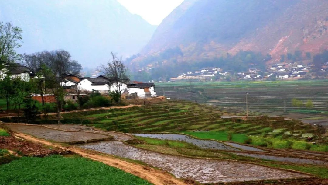 濟(jì)寧：農(nóng)村污水治理全域統(tǒng)籌，提升治理水平