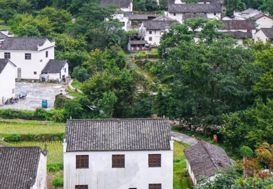 安徽六安市生態(tài)環(huán)境局發(fā)布《2024年六安市土壤、地下水污染防治和農(nóng)村生態(tài)環(huán)境保護(hù)工作要點(diǎn)》！