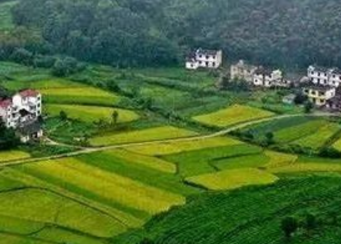 年安排3億元！福建加快推進(jìn)農(nóng)村生活污水提升治理！