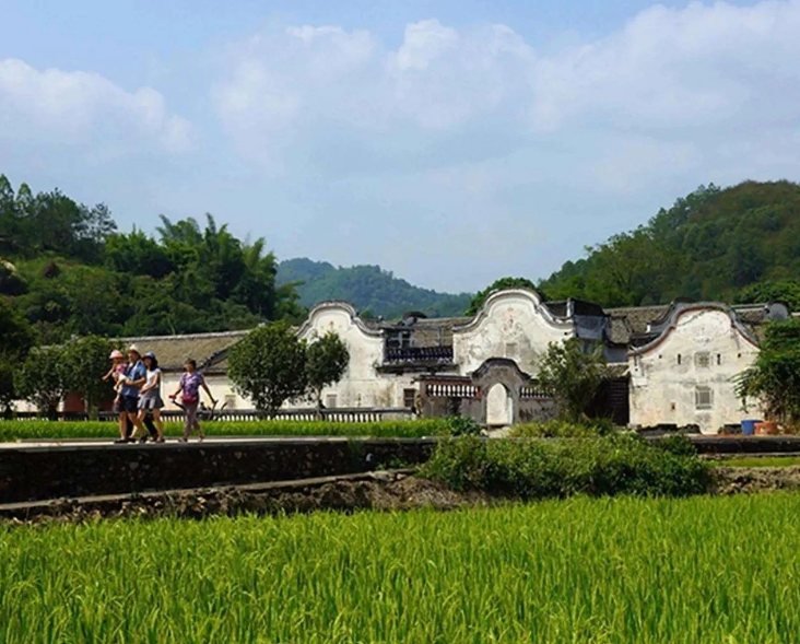 農(nóng)業(yè)農(nóng)村部召開常務(wù)會 研究部署推進幫扶產(chǎn)業(yè)高質(zhì)量發(fā)展和智慧農(nóng)業(yè)發(fā)展等工作