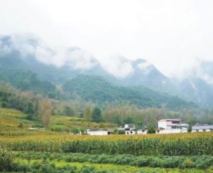 甘肅?。恨r(nóng)村生活污水治理（管控）率達到29.47%以上