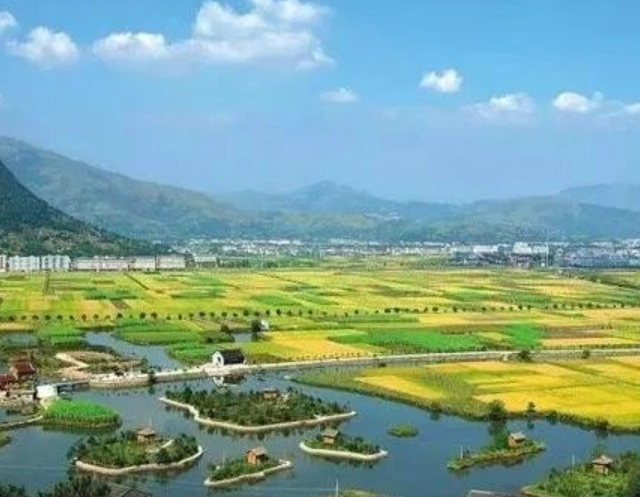 山東印發(fā)實施意見，大力發(fā)展現(xiàn)代設(shè)施農(nóng)業(yè)